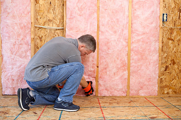 Best Commercial Insulation Services  in Hunter, OH